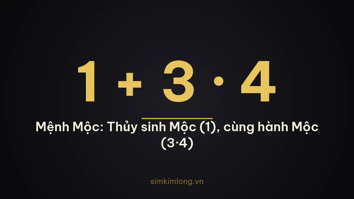 Số hợp mệnh Mộc theo ngũ hành tương sinh