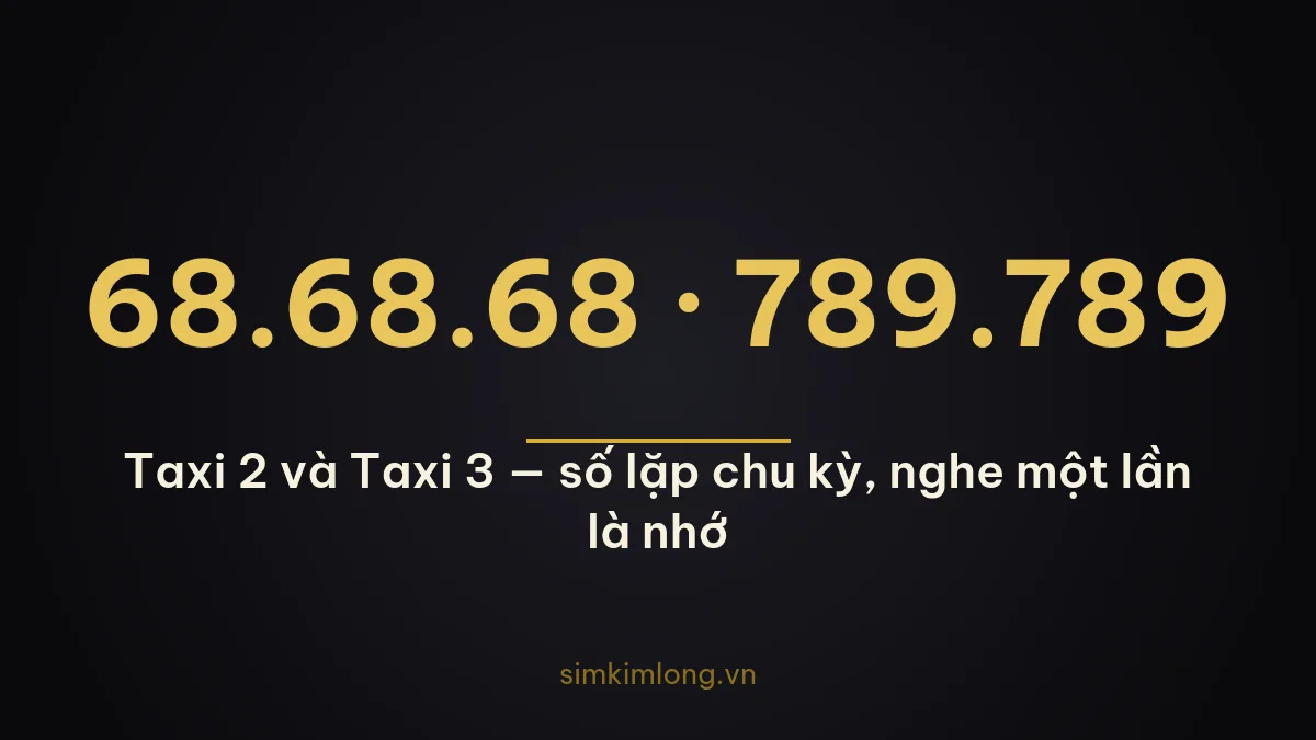 Các dạng sim taxi phổ biến: taxi 2 và taxi 3